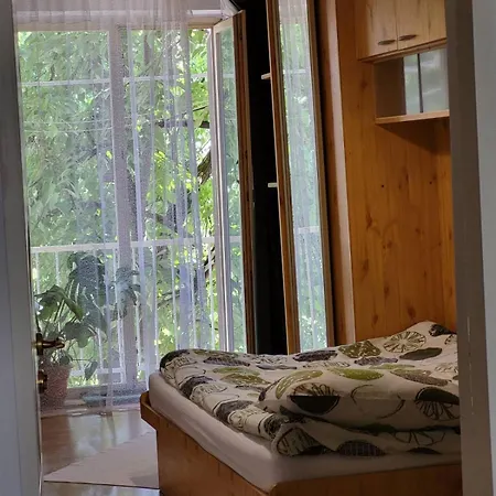 на заньковецкой * Uzhhorod