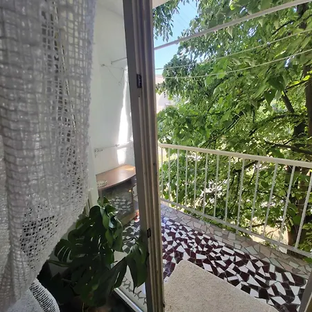 на заньковецкой *