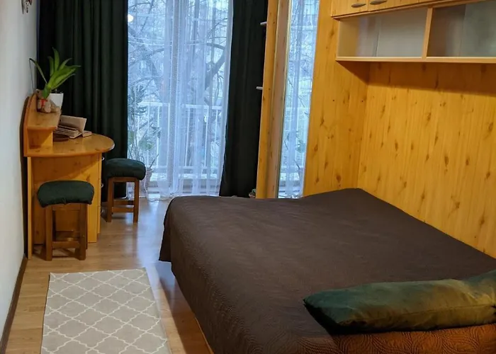 на заньковецкой Apartment *