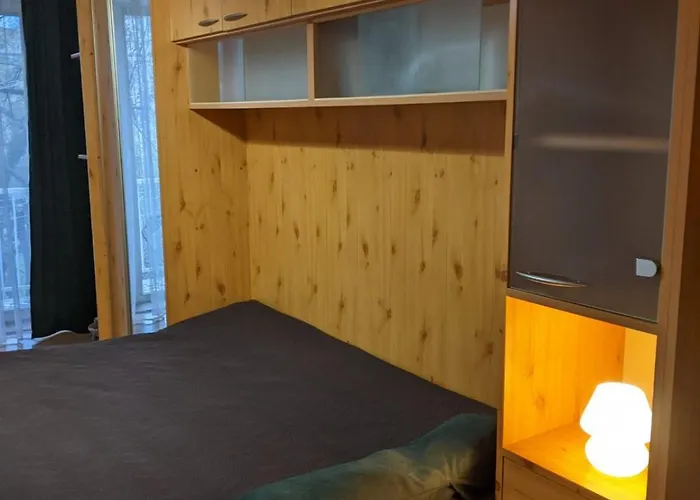 Apartment на заньковецкой Uzhhorod